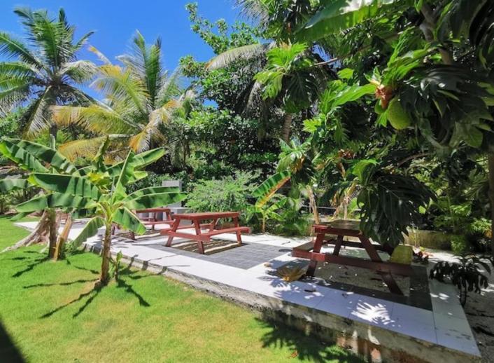 Caribbean Studios Tropicana With Pool - Playa Los Corales Πούντα Κάνα Εξωτερικό φωτογραφία